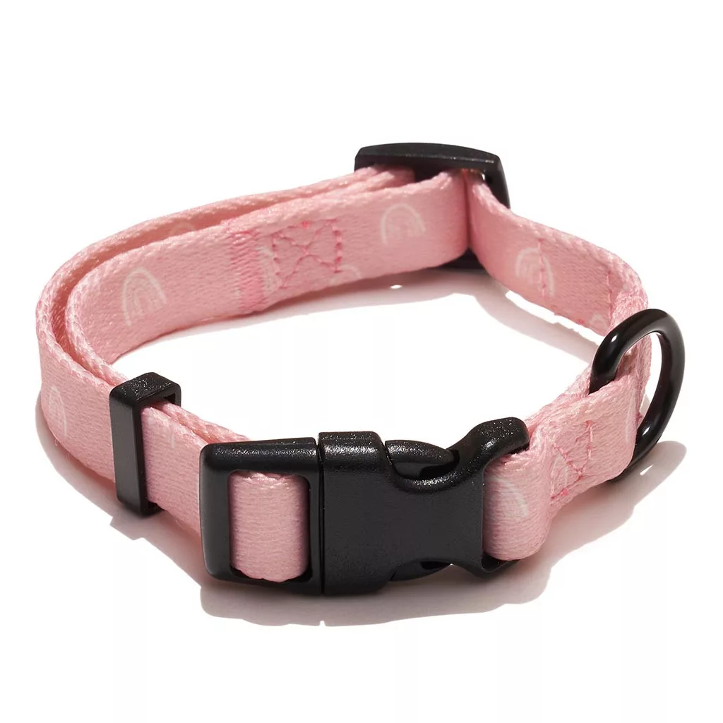 EXPLORER DOG Collar Rainbow S - 24-36x1, 5 cm