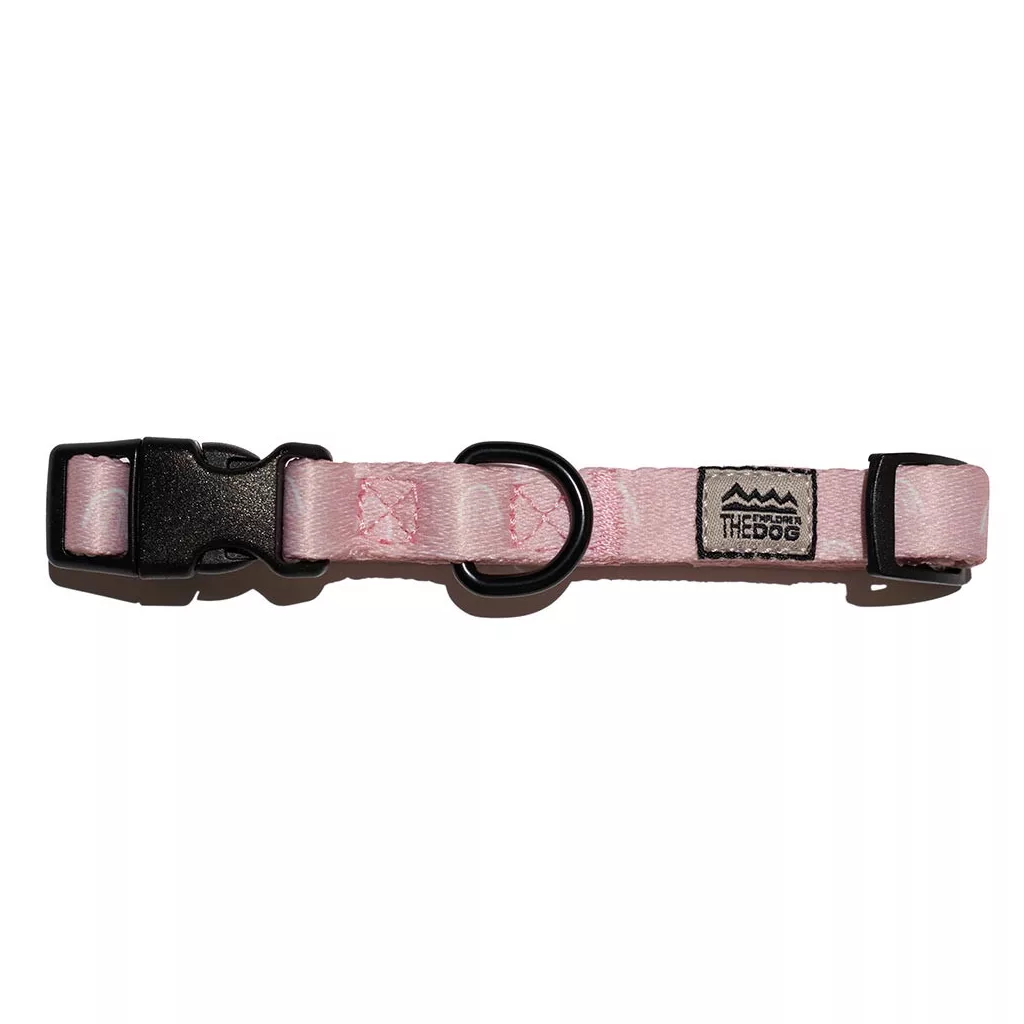 EXPLORER DOG Collar Rainbow S - 24-36x1, 5 cm