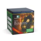 Szolár bukszus - felakasztható - 20 melegfehér LED (25 cm)