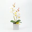 Műnövény dekoráció - orchidea - 3 féle változatban - 37 cm (1 db)