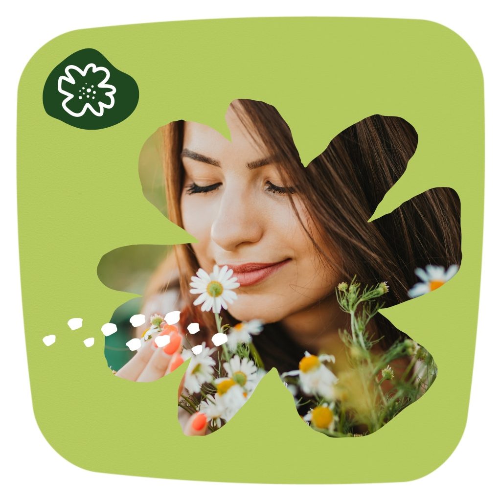 Naturella Liners Normal Camomile tisztasági betét (44 db)