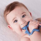 B.box csuklóra tehető rágóka (kék róka)