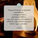 Tommee Tippee 2 az 1-ben hordozható éjszakai fény pingvin állítható fényerővel