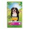 Purina Friskies Maxi száraz kutyaeledel marhahússal (10 kg)