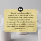 Tommee Tippee tápszeradagoló