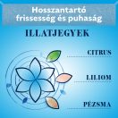 Coccolino Perfume & Care öblítőválogatás (6x1275 ml)