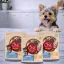 Purina One Mini Junior száraz kutyaeledel csirkével (3x800 g)