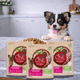   Purina One Mini Weight Control száraz kutyaeledel pulykával (3x800 g)