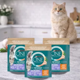   Purina One Coat & Hairball száraz macskaeledel csirkével (3x800 g)