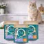 Purina One Coat & Hairball száraz macskaeledel csirkével (3x800 g)