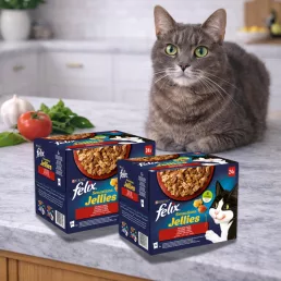   Purina Felix Sensations Jellies alutasakos macskaeledel házias válogatás aszpikban (48x85 g)