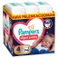 Pampers Night Pants bugyipelenka 4, 9-15 kg HAVI PELENKACSOMAG 104 db