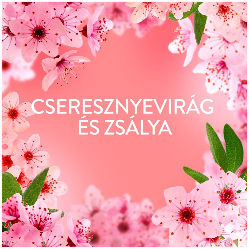 Lenor Cherry Blossom öblítő 1,239 liter (59 mosás)