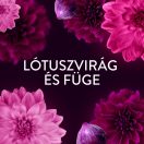 Lenor Lotus & Diamond öblítő 1,239 liter (59 mosás)