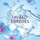 Lenor Spring Awakening öblítő 1,491 liter (71 mosás)