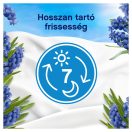 Lenor Capri öblítő 1,239 liter (59 mosás)