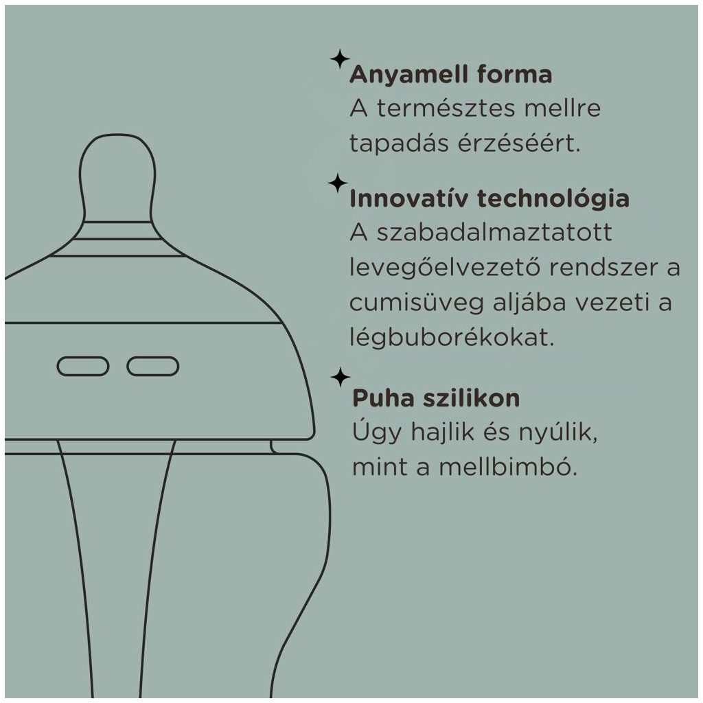 Tommee Tippee Advanced Anti-Colic cumisüveg duo 2x260 ml (türkiz)