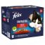 Purina Felix Fantastic alutasakos macskaeledel házias válogatás (24x85 g)