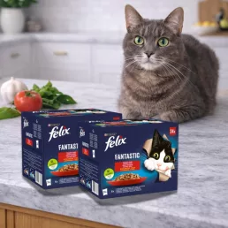   Purina Felix Fantastic alutasakos macskaeledel házias válogatás (48x85 g)