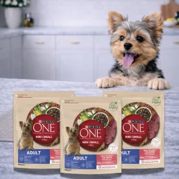   Purina One Mini Adult száraz kutyaeledel marhahússal (3x800 g)