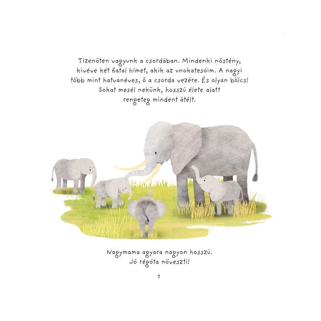 Családom a vadonban - Kiselefánt