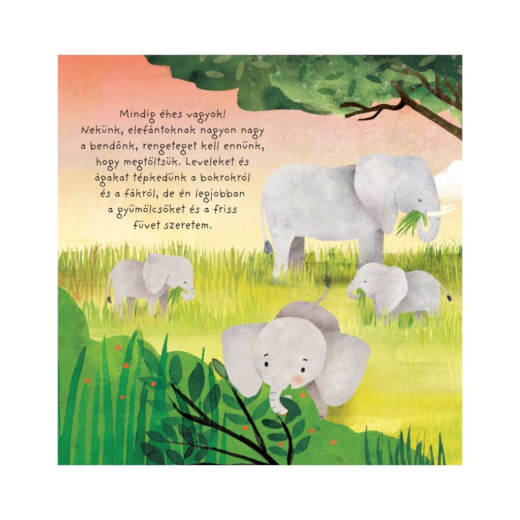 Családom a vadonban - Kiselefánt