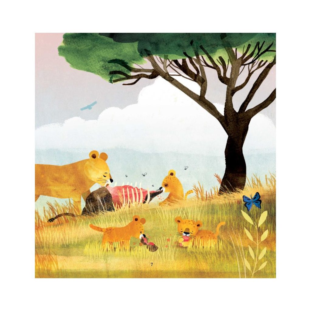 Családom a vadonban - Kisoroszlán