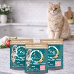 Purina One száraz macskaeledel lazaccal (3x800 g)