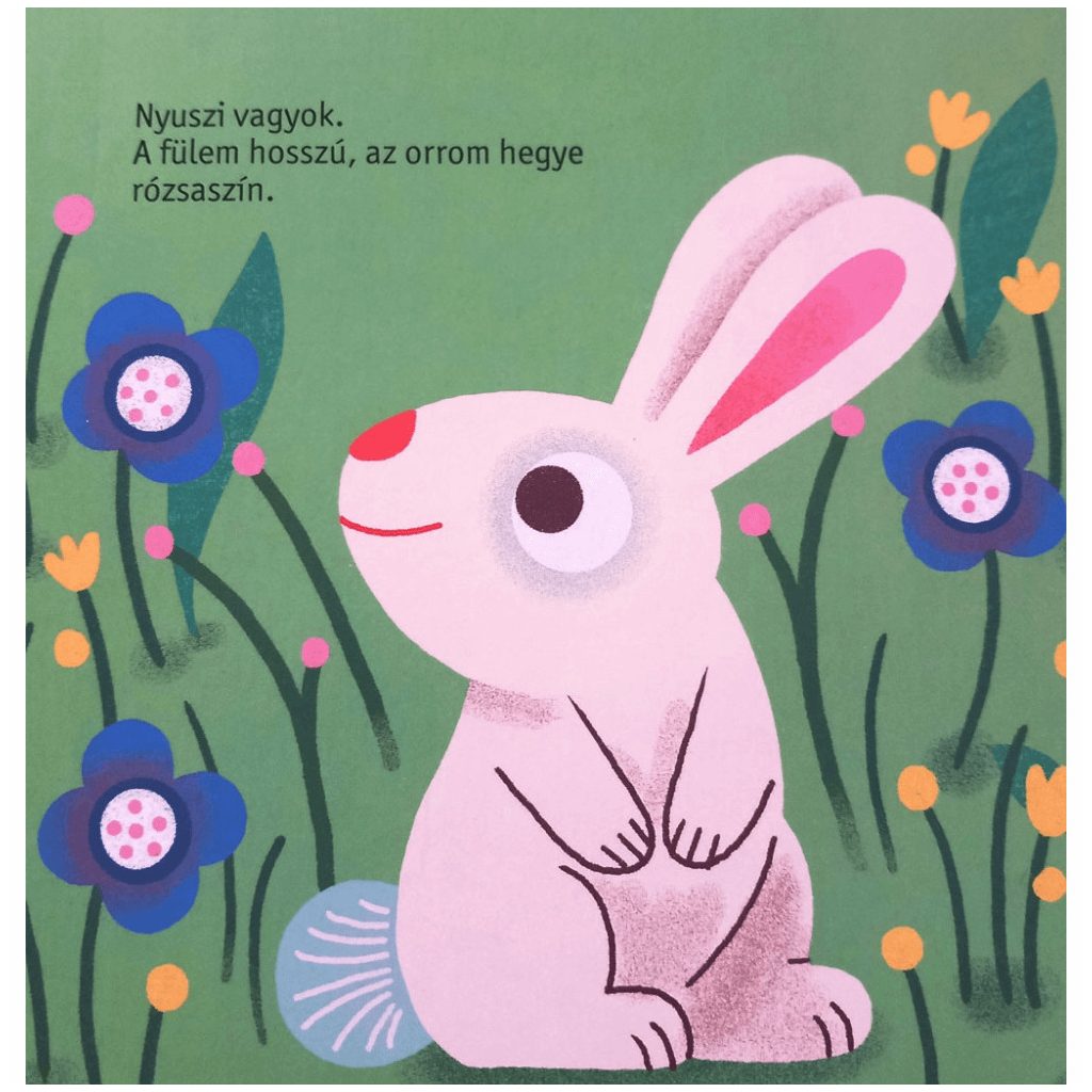 Kis barátaim - A nyuszi