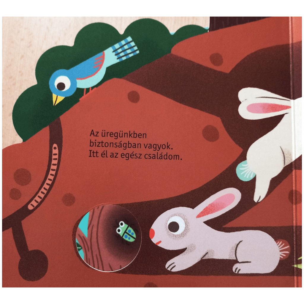 Kis barátaim - A nyuszi