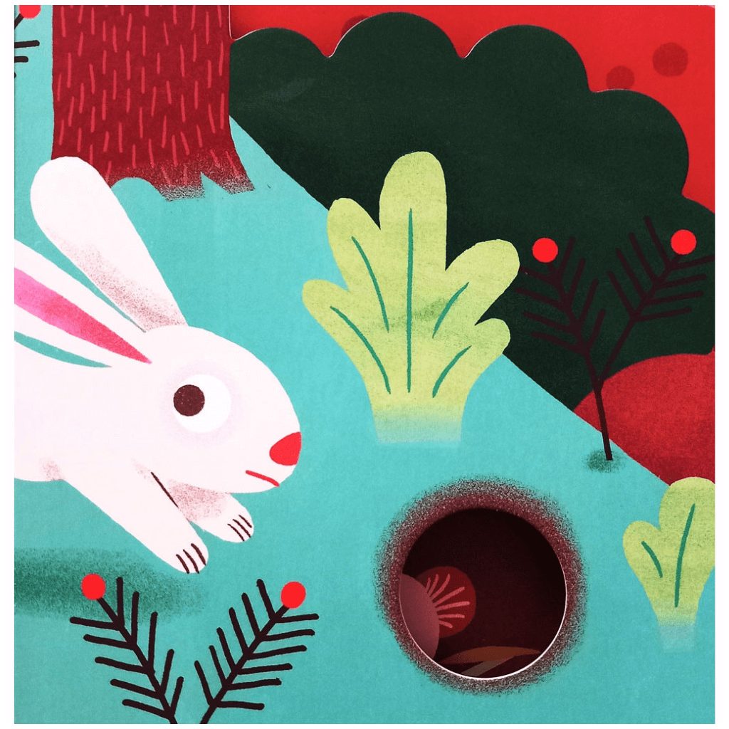 Kis barátaim - A nyuszi