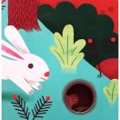 Kis barátaim - A nyuszi