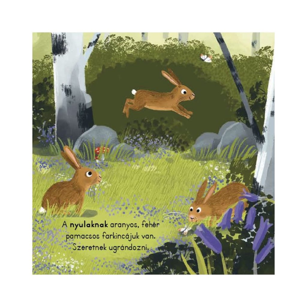 Tipegő figyelő - Erdő