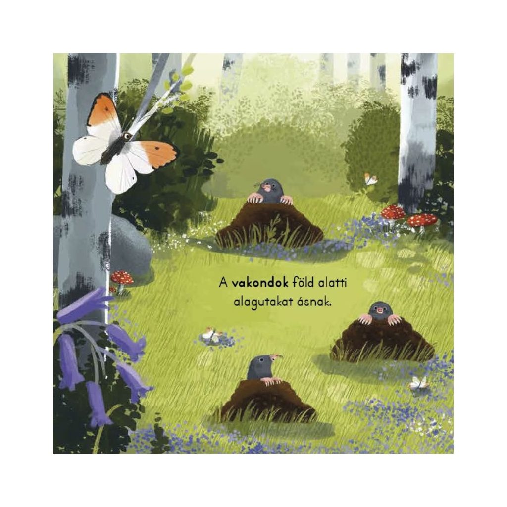 Tipegő figyelő - Erdő