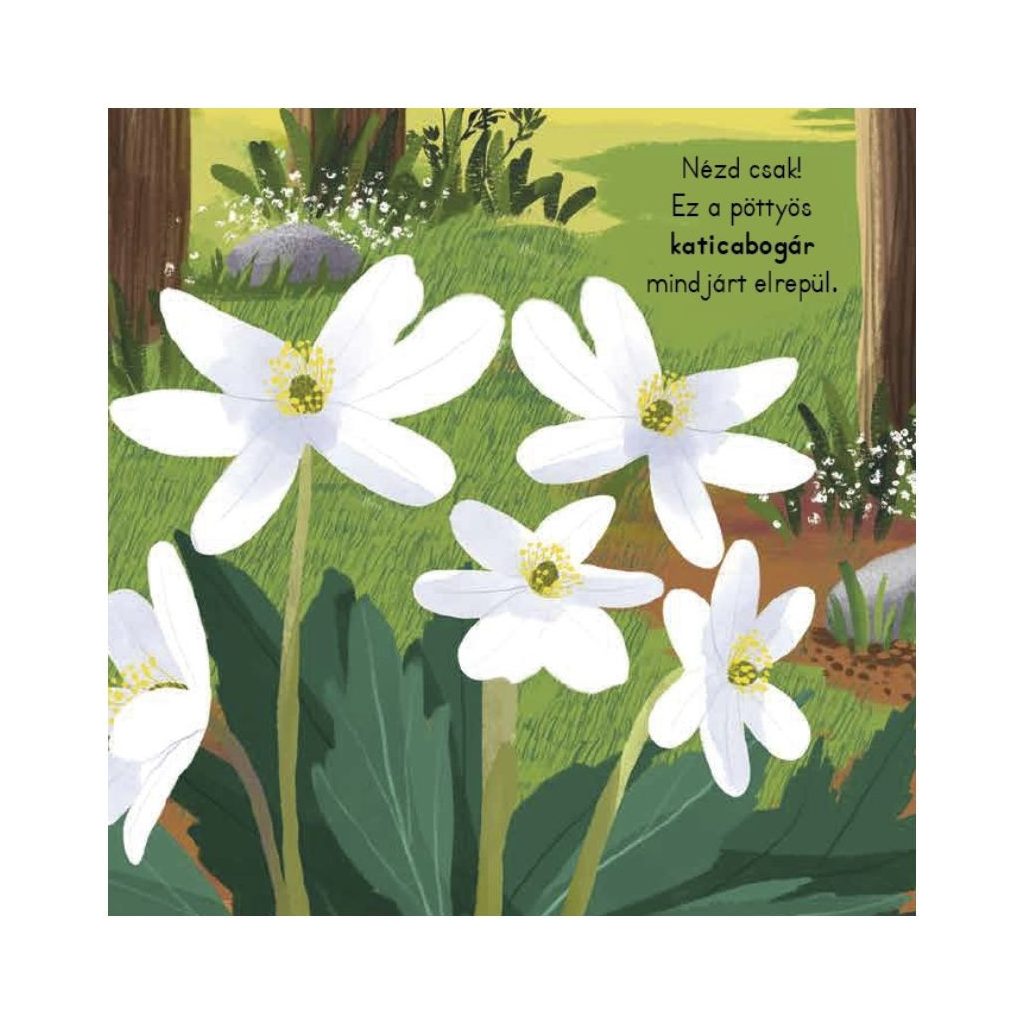 Tipegő figyelő - Erdő