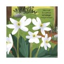 Tipegő figyelő - Erdő