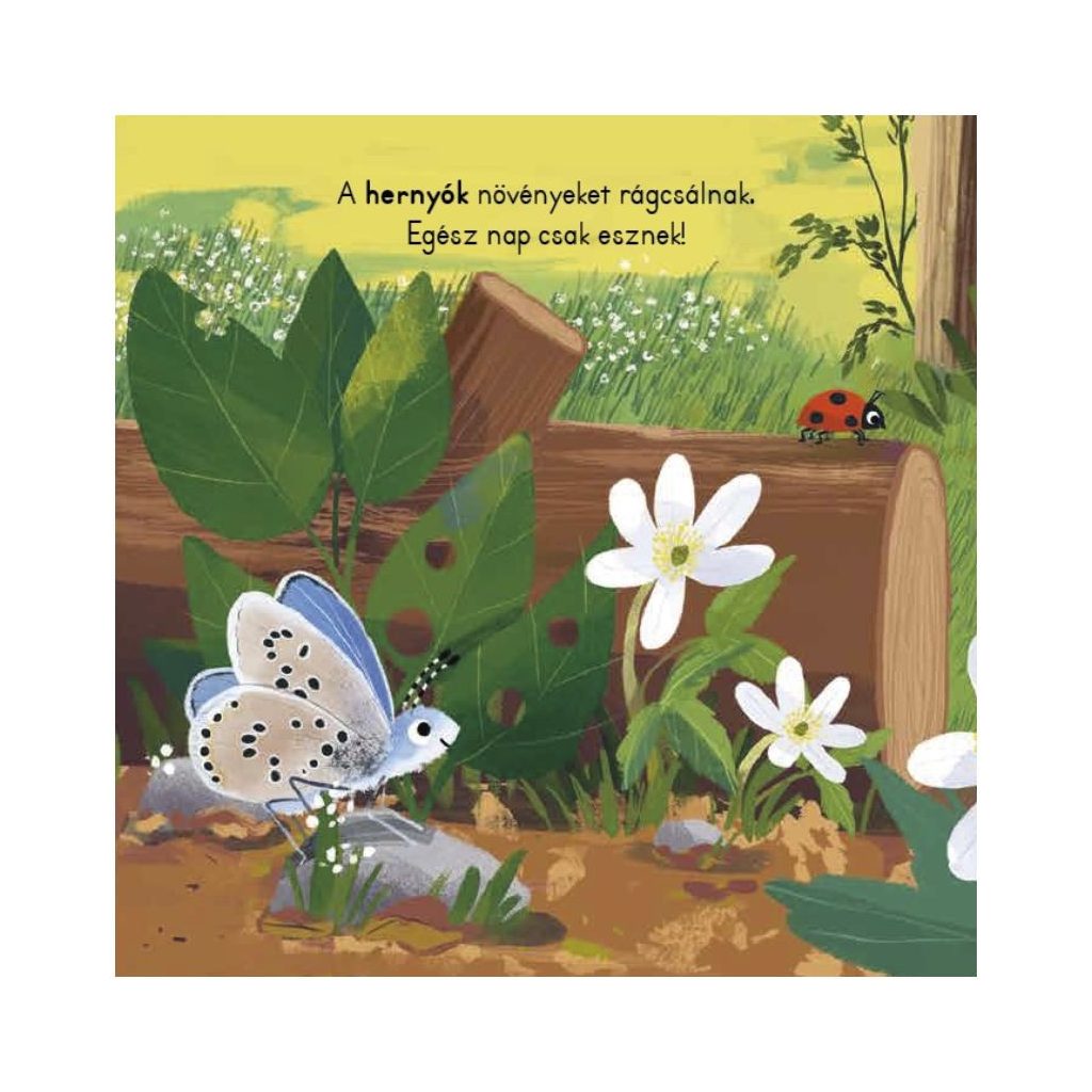 Tipegő figyelő - Erdő