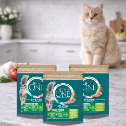   Purina One Indoor Formula száraz macskaeledel pulykával (3x800 g)