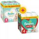 Pampers Premium Care Maxi 4, 168 db + Pampers Pants Maxi 4, 176 db