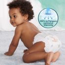 Pampers Harmonie pelenka 3, 6-10 kg, HAVI PELENKACSOMAG 186 db