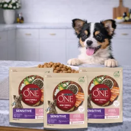   Purina One Mini Sensitive száraz kutyaeledel lazaccal (3x800 g)