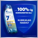 Head & Shoulders Pro-Expert 7 korpásodás és hajhullás elleni sampon koffeinnel (250 ml)