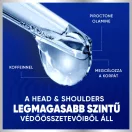 Head & Shoulders Pro-Expert 7 korpásodás és hajhullás elleni sampon koffeinnel (250 ml)