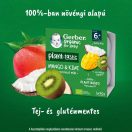 Gerber Organic kókusztej alapú mangó-kivi poharas bébidesszert, 6 hónapos kortól (360 g)