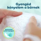 Pampers Premium Care pelenka, Maxi 4, 9-14 kg, 104 db
