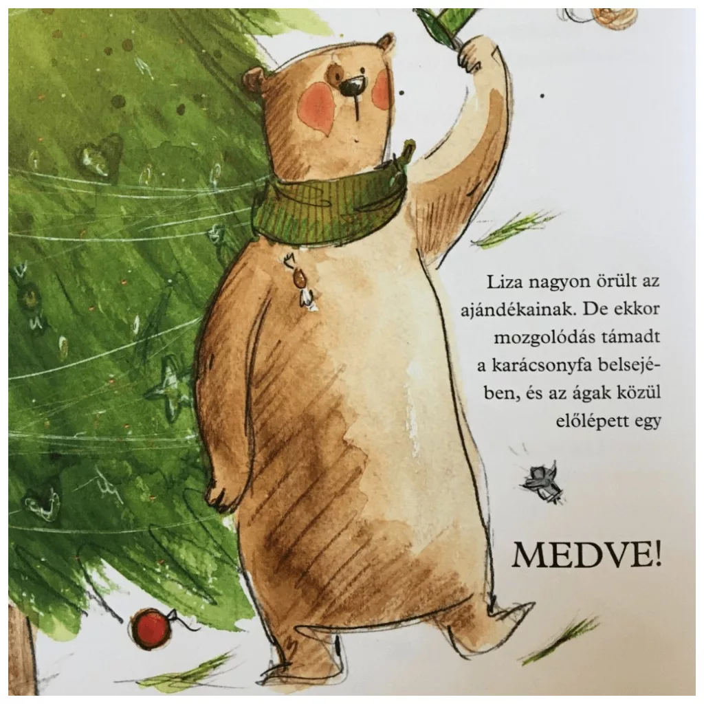A medve aki a karácsonyfában lakott - Harcos Bálint