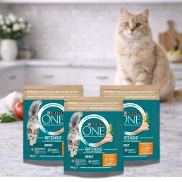 Purina One száraz macskaeledel csirkehússal (3x800 g)