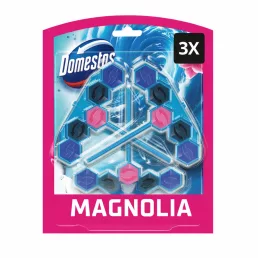 Domestos Power5 Blue Water Magnolia (3x48 g)