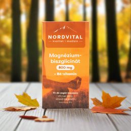 Nordvital Magnézium-biszglicinát (90 db)