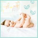 Pampers Premium Care pelenka, Midi 3, 6-10 kg, HAVI PELENKACSOMAG 204 db